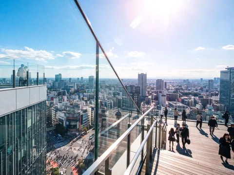 Excursió matinal a Shibuya Sky amb entrada, vista de Tòquio des del mirador a l'aire lliure