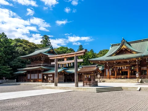 Excursió a Shibuya Sky i Meiji Jingu, torii del santuari