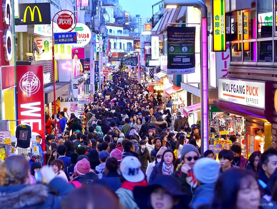 Harajuku bis Shibuya Sky Tour, Allee Omotesando