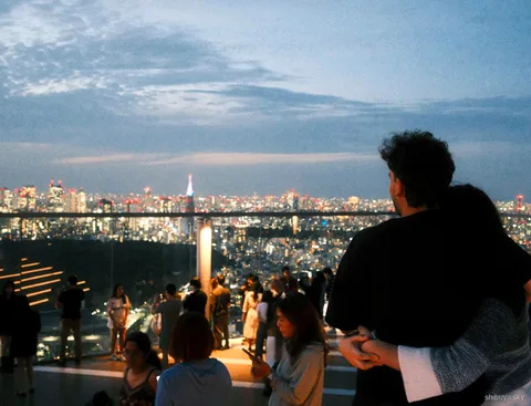 Harajuku til Shibuya Sky aftentur, udsigt over Tokyo om natten