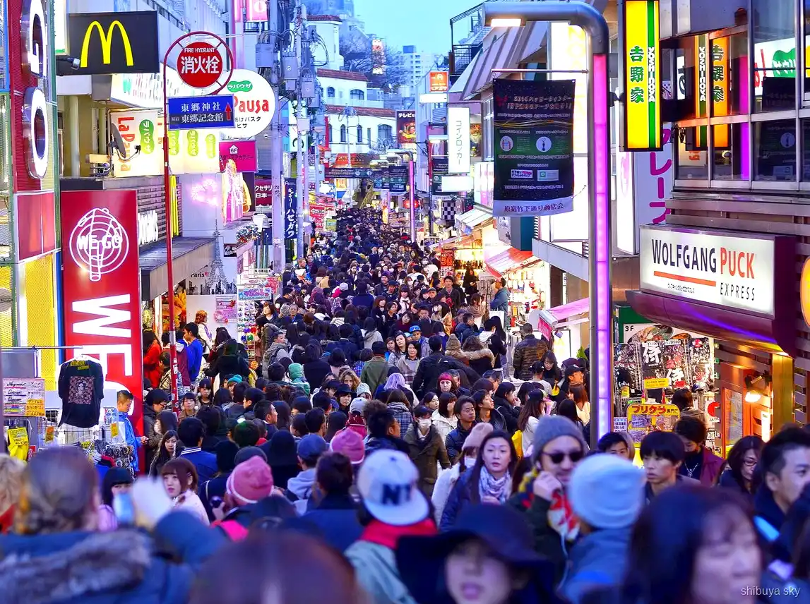 Harajuku'dan Shibuya Sky'a turu, Omotesando caddesi