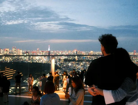 Harajuku to Shibuya Sky evening tour, view over Tokyo at night