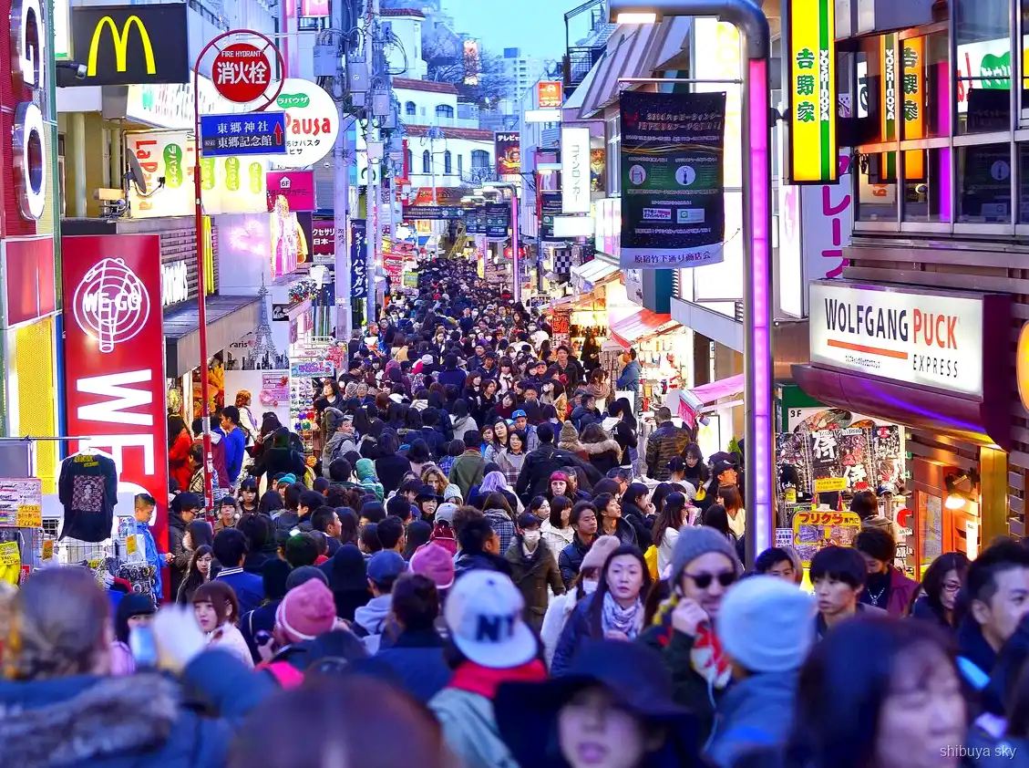 Harajuku to Shibuya Sky tour, Omotesando avenue