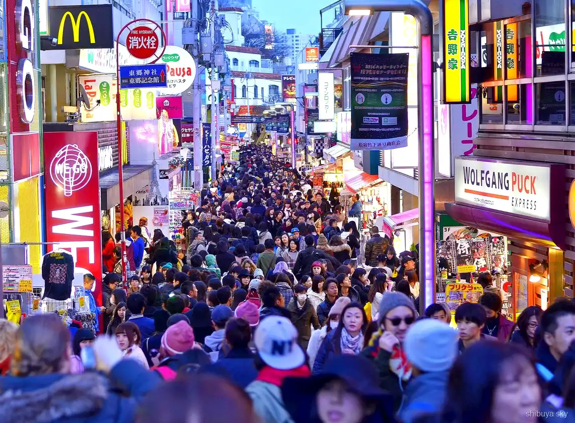 Passeio de Harajuku ao Shibuya Sky, avenida Omotesando
