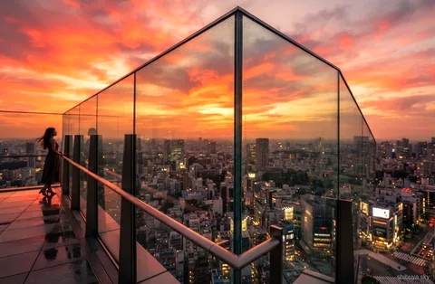 Passeio com ingresso do Shibuya Sky e Santuário Meiji, vista sobre a cidade