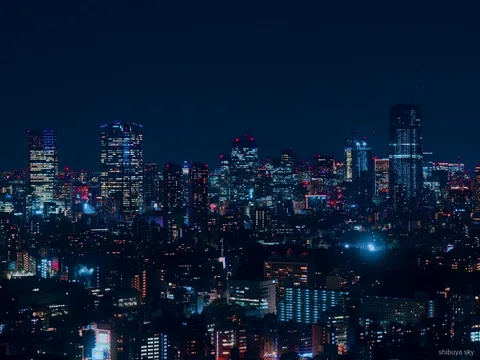 Wycieczka nocna z biletem na Shibuya Sky, tłumy na Scramble Crossing