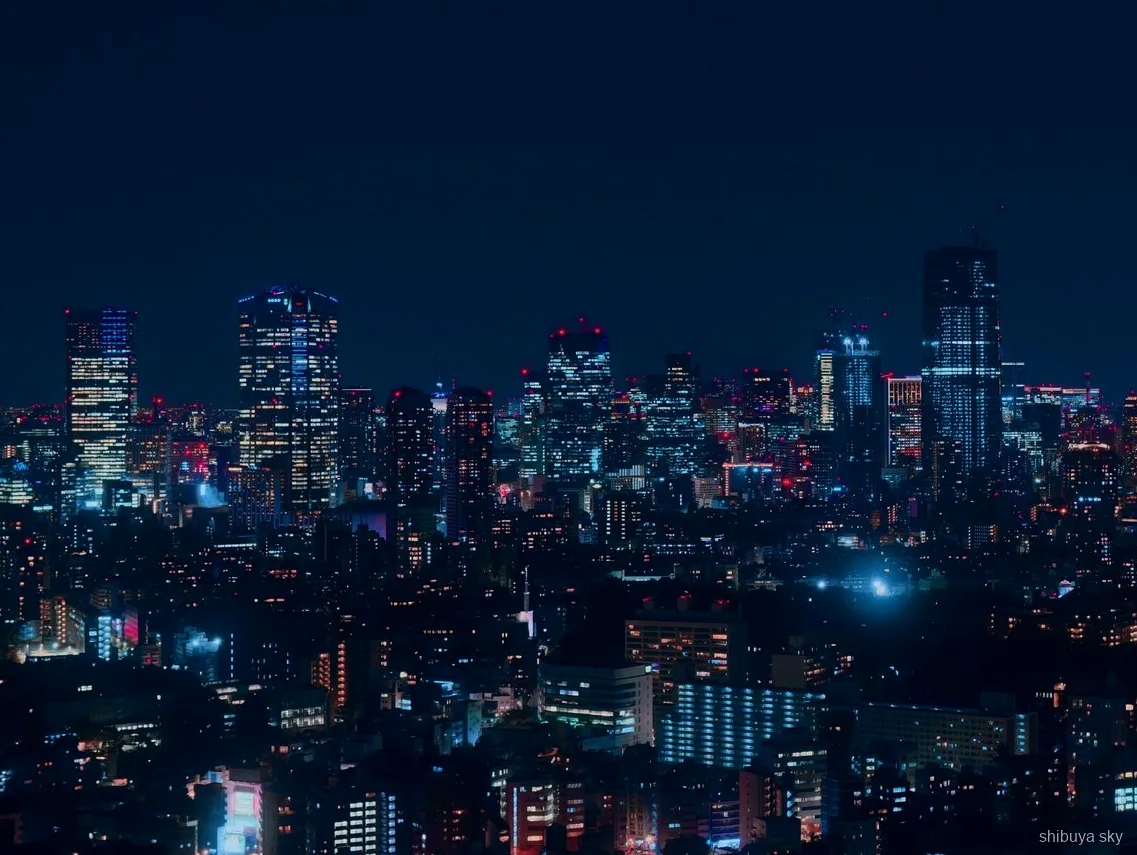 Wycieczka nocna z biletem na Shibuya Sky, tłumy na Scramble Crossing