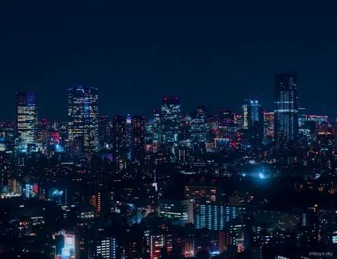 Shibuya Sky bilet gece hayatı turu, Scramble Crossing kalabalığı