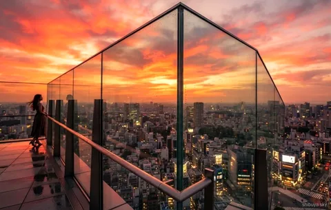 Wycieczka z biletem na Shibuya Sky i Meiji Jingu, widok na miasto