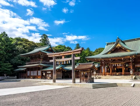 Shibuya Sky and Meiji Shrine tour, torii gate
