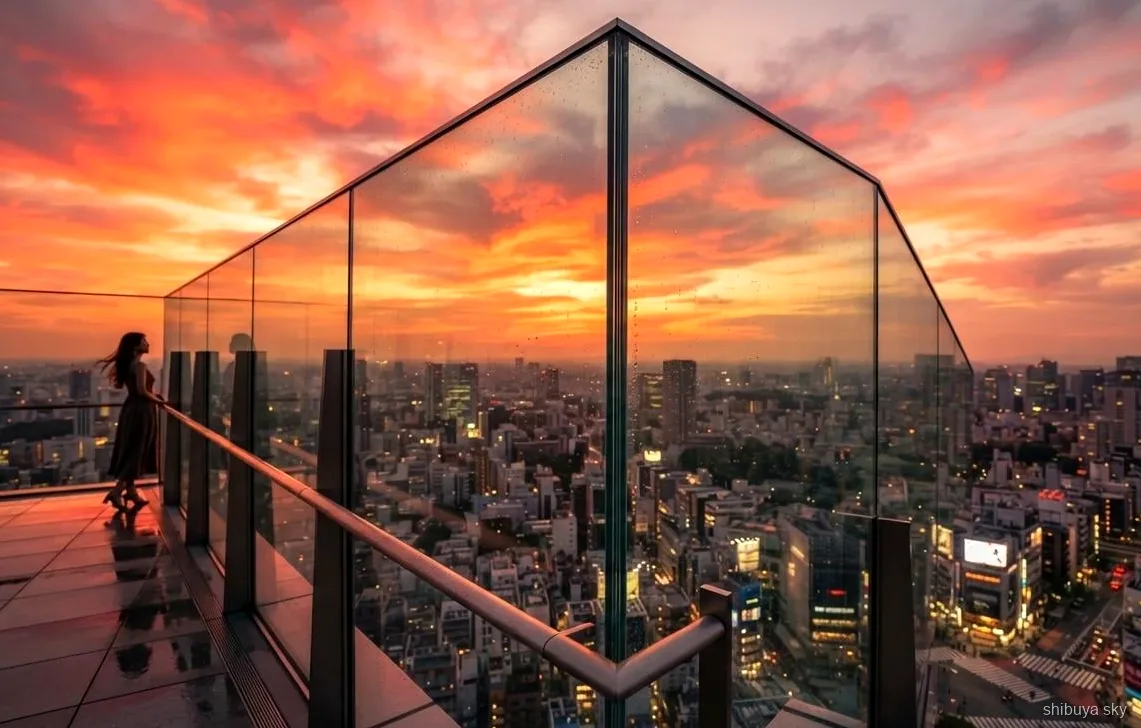 Meiji Tapınağı'lı Shibuya Sky bilet turu, şehir manzarası