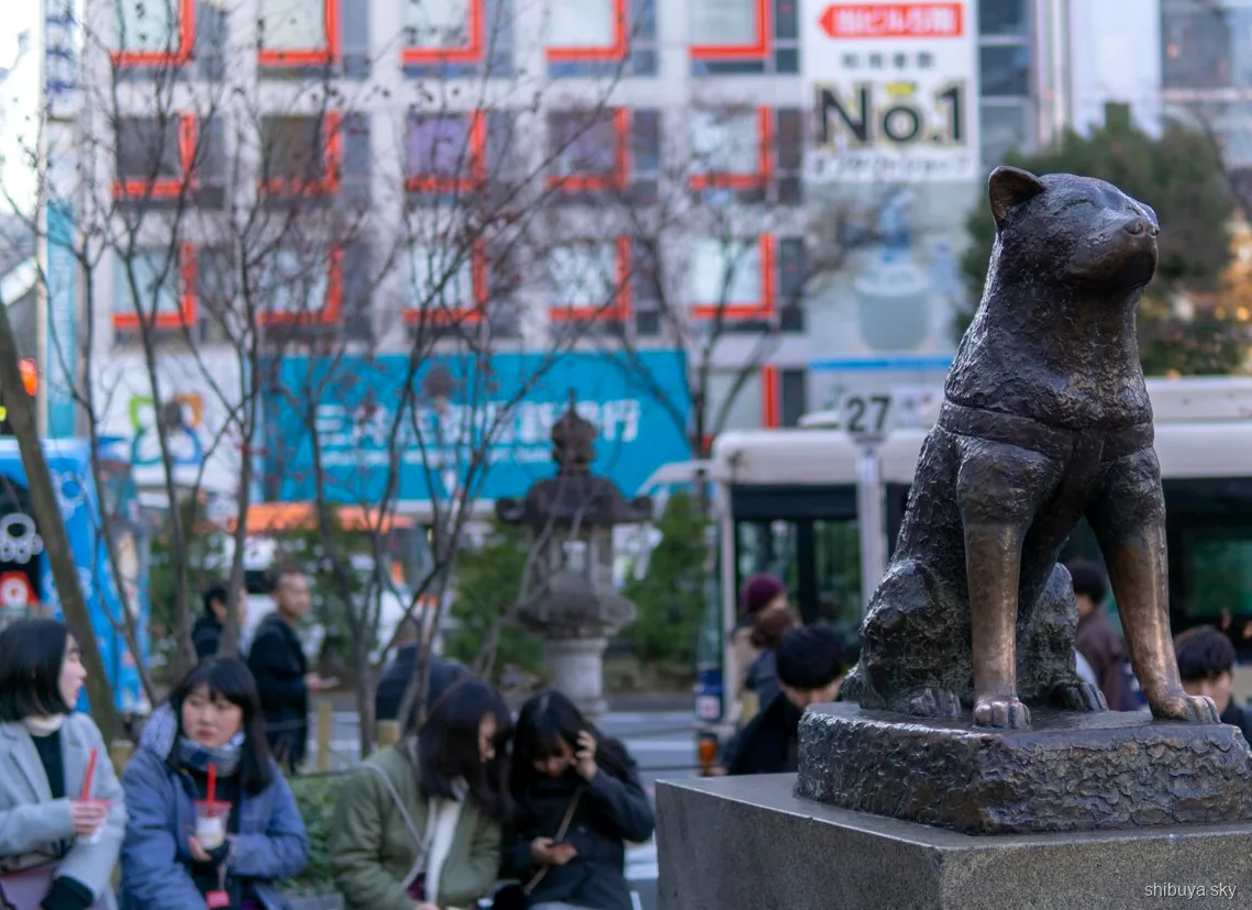 Shibuya Sky natudsigt med Tokyo Tower, der lyser i det fjerne