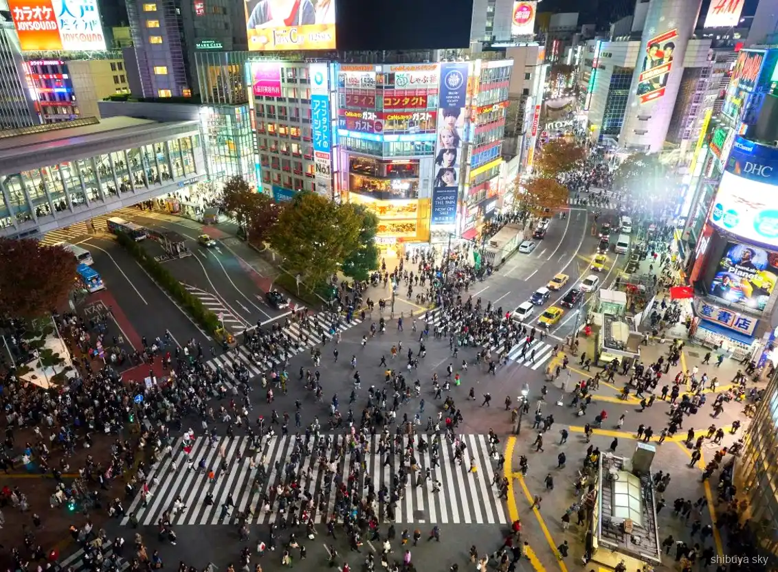 Shibuya Sky night tour, guide and visitors in the neon streets