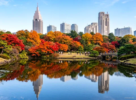 Shibuya Sky og Shinjuku Gyoen tur, havedam