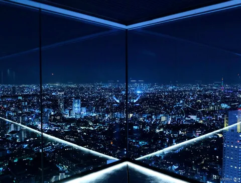 Shibuya Sky saatli giriş bilet turu, gece silueti