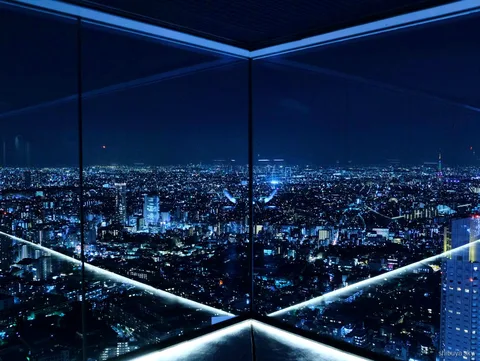 Shibuya Sky timed-entry ticket tour, night skyline
