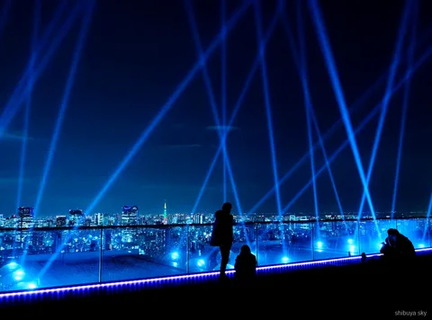Shibuya Sky ticket nachttour, neonverlichte Scramble Crossing