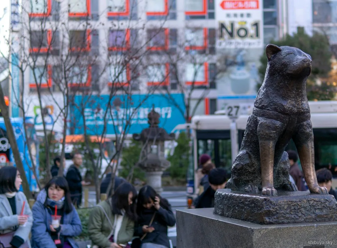 Shibuya Sky nachtzicht met een gloeiende Tokyo Tower in de verte