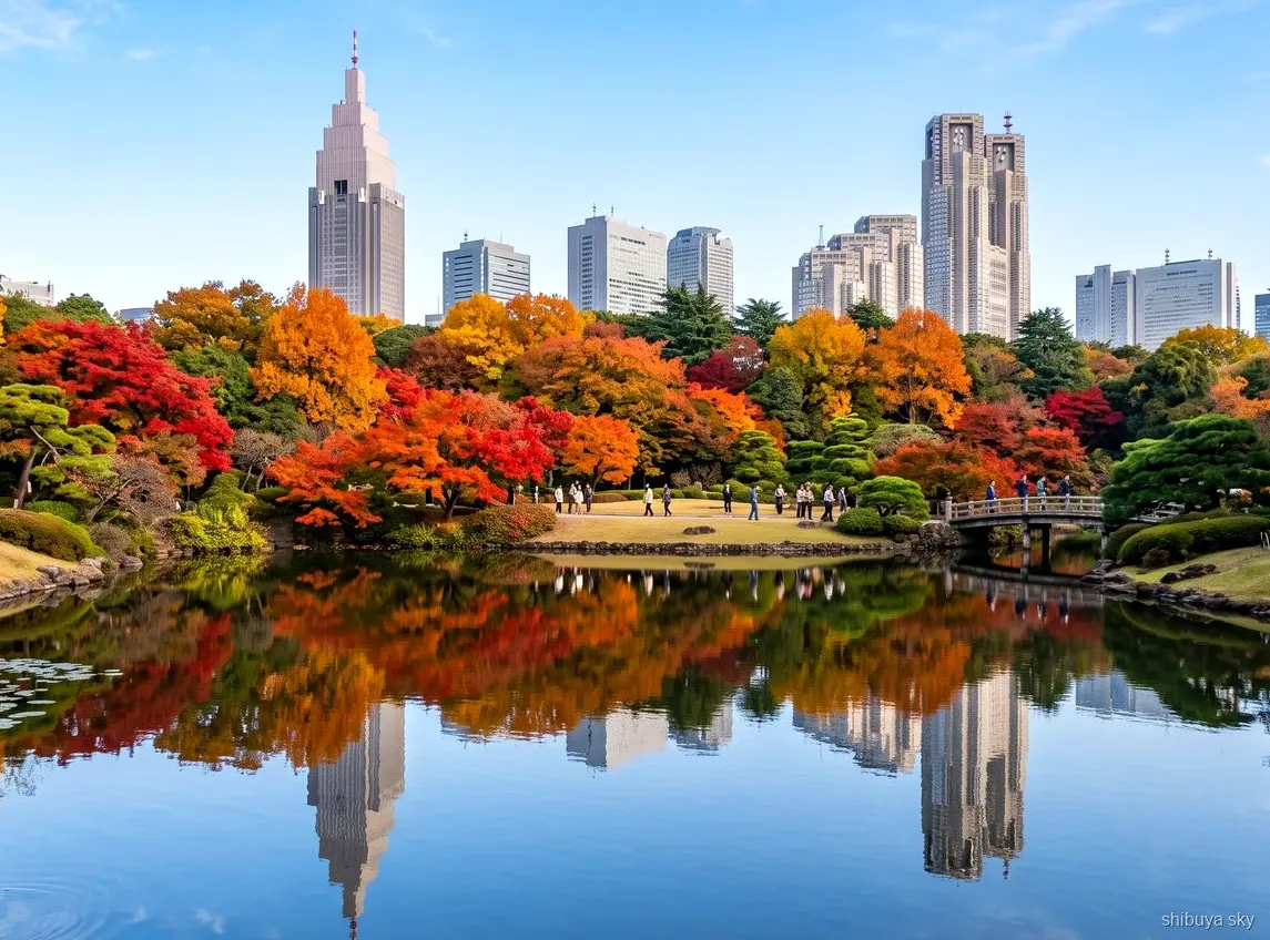 Tour Shibuya Sky y Shinjuku Gyoen, estanque del jardín