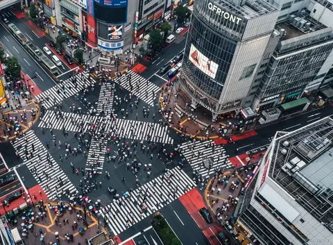 Groupe de visite guidée Shibuya Sky au Scramble Crossing