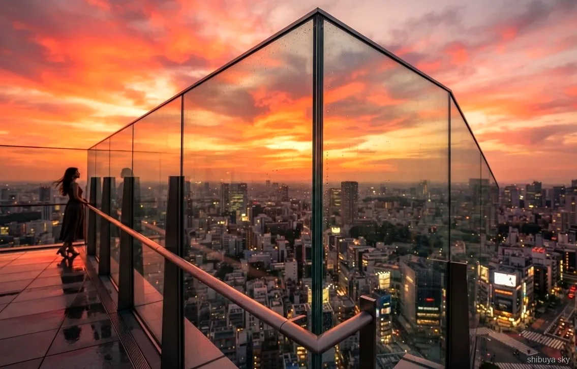 Visite avec billet Shibuya Sky et sanctuaire Meiji, vue sur la ville